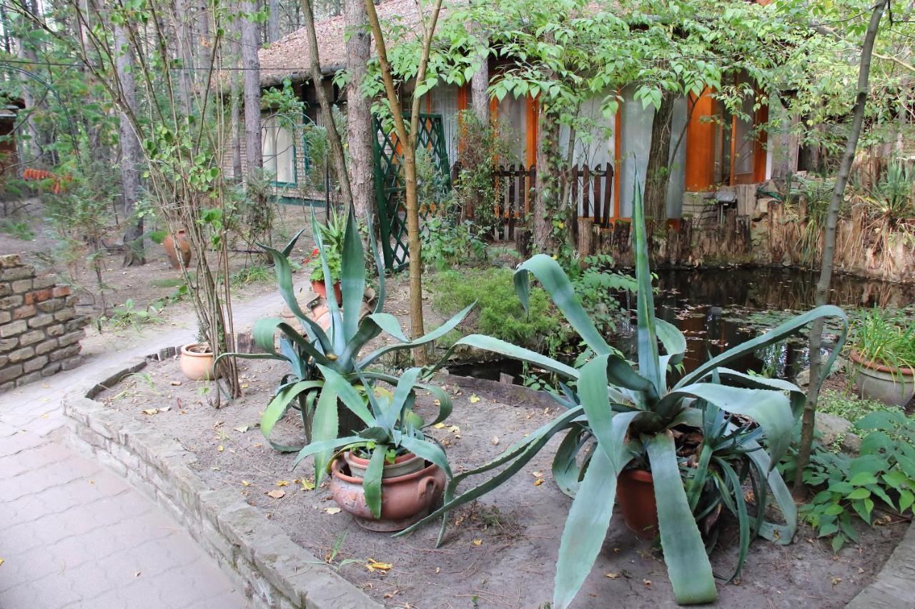 Ambiente Kiskunhalas