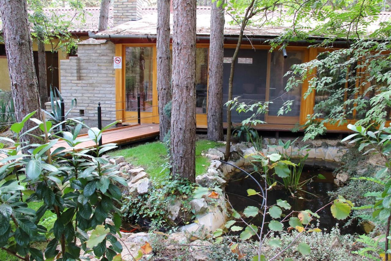 Bed & Breakfast Ambiente Kiskunhalas