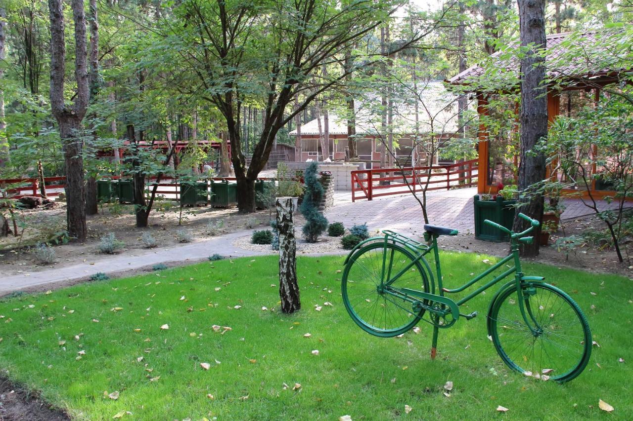 Ambiente Bed & Breakfast *