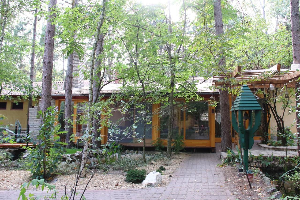 Bed & Breakfast Ambiente