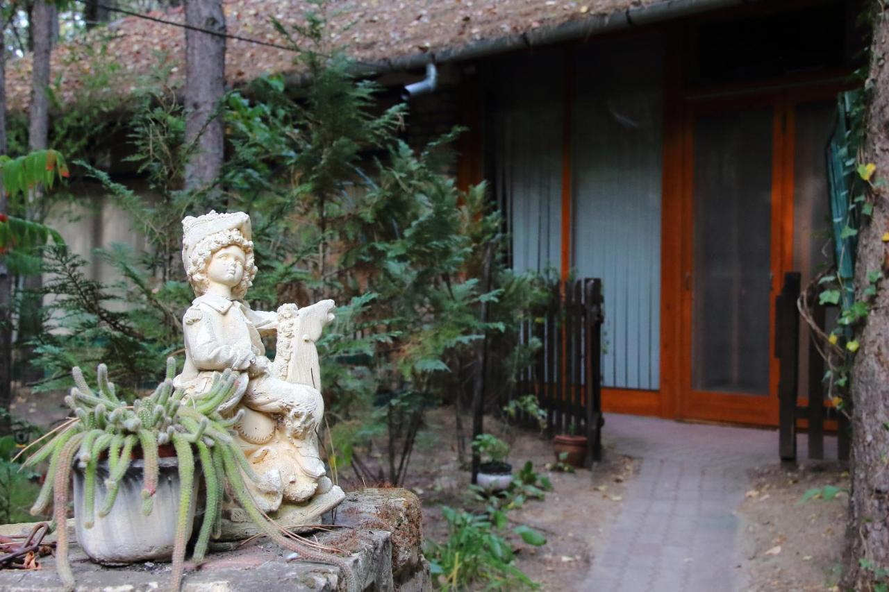 Bed & Breakfast Ambiente *