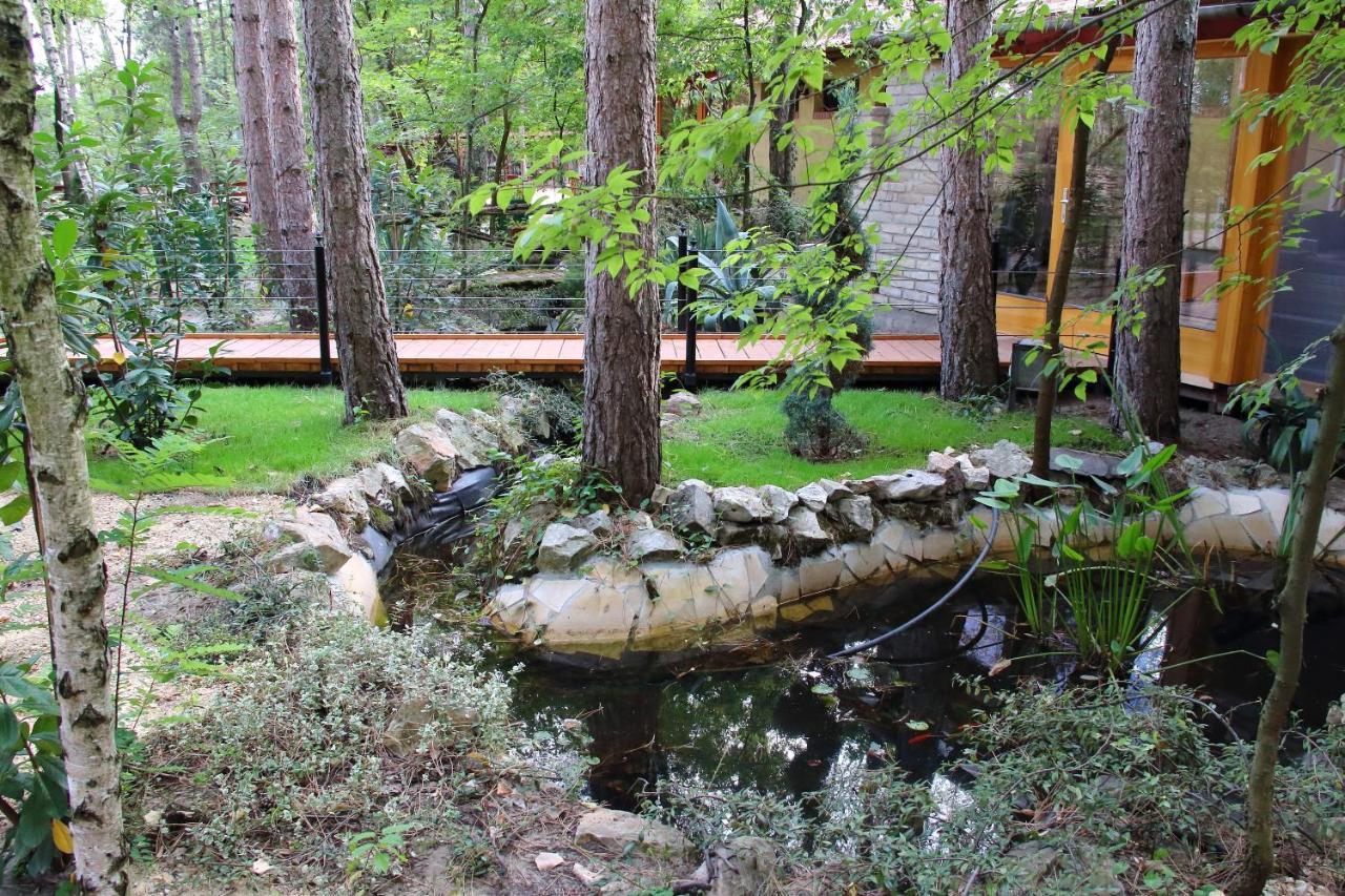 Ambiente Bed & Breakfast Kiskunhalas